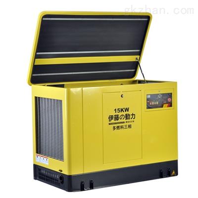 YT15REG 發(fā)電機(jī)